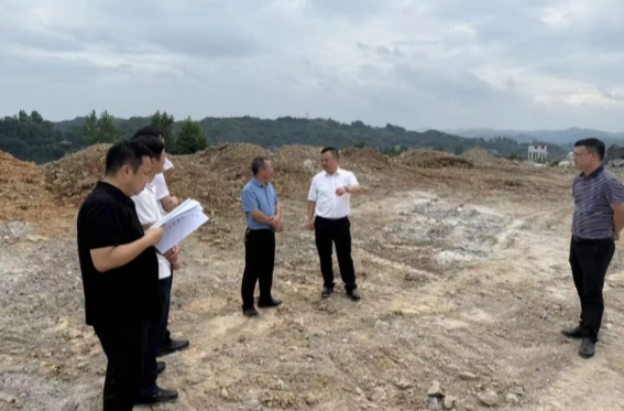 罗欣专题督导生态环境问题整改工作