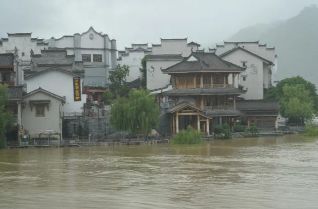 以迅应汛担使命  迎风战雨护民心