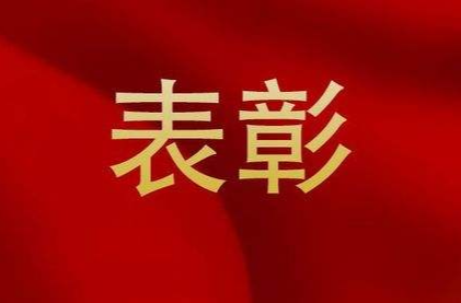点赞！洪江区这些优秀个人和先进集体获表彰