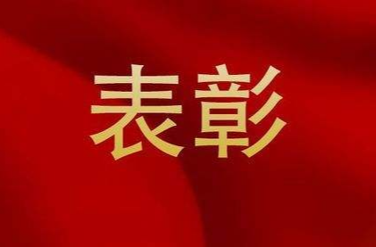 洪江区“两优一先”表彰名单公布，看看都有谁→