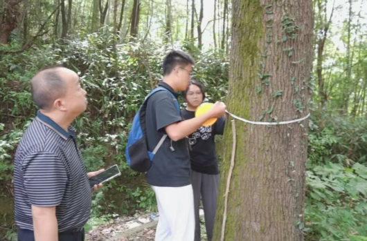 观摩交流促提升 精准普查护古树