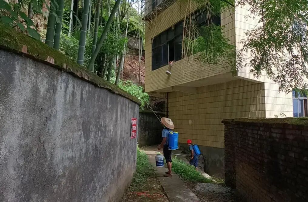 开展杂草专项整治 优化辖区人居环境