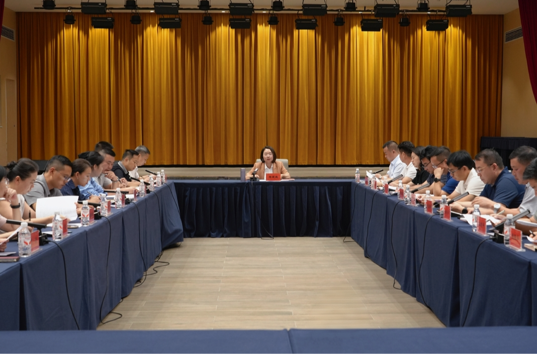 区工委党的建设工作领导小组会议召开
