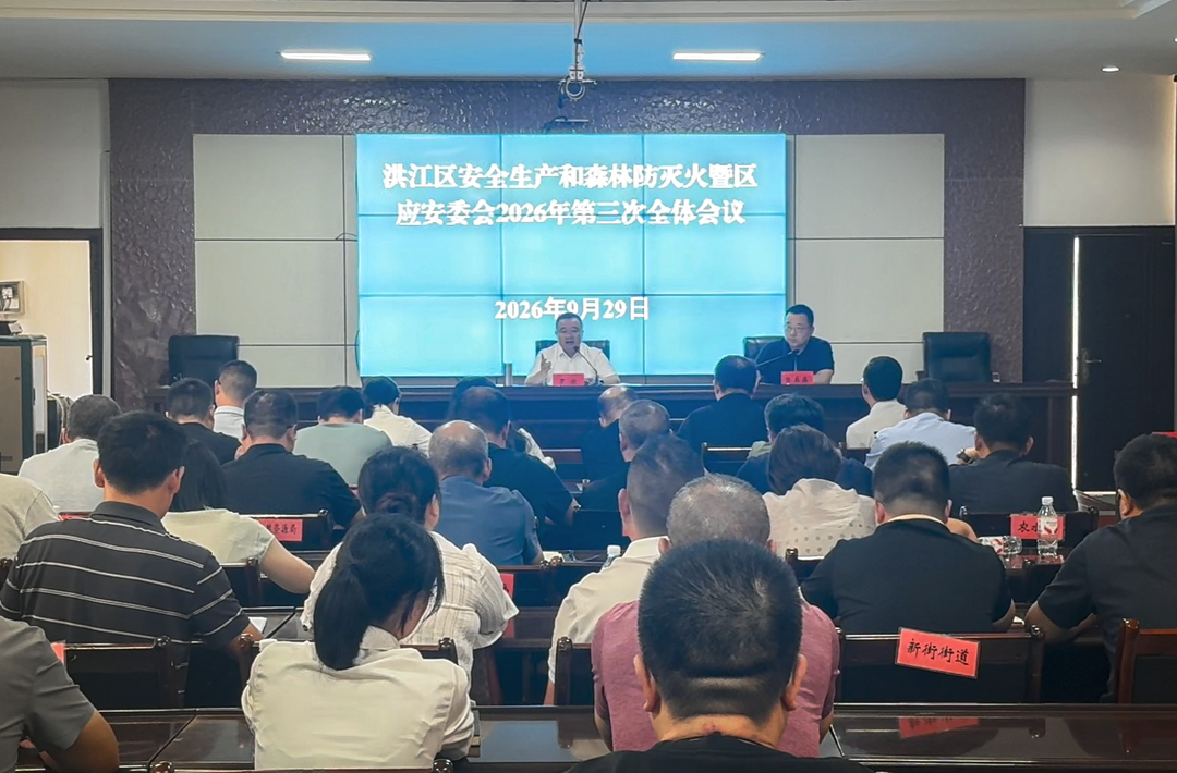 洪江区召开安全生产和森林防灭火会议暨区应安委会2026年第三次全会