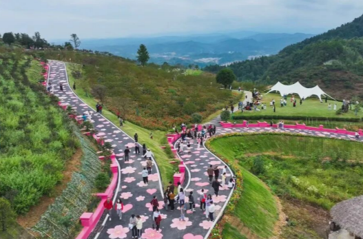 花海映国庆 萌宠趣山林！嵩云山国庆文旅热度持续攀升
