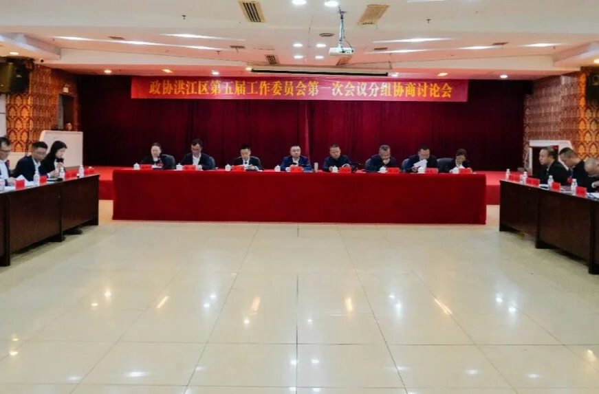 罗欣参加政协洪江区第五届工作委员会第一次会议分组协商讨论会