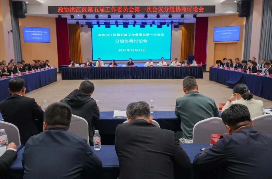 杨健桃参加政协洪江区第五届工作委员会第一次会议分组协商讨论会