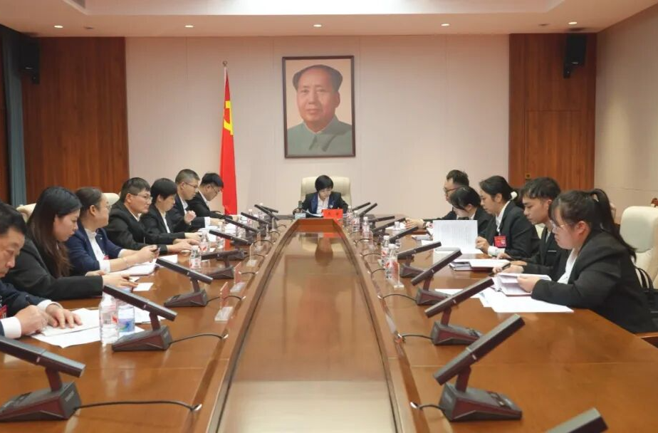 汇民声、提建议、谋发展！人大代表分组讨论审议各项报告